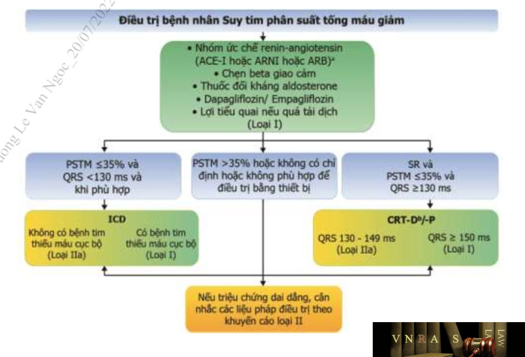 Hướng dẫn chẩn đoán và điều trị suy tim cấp và mạn - theo Bộ Y tế ...