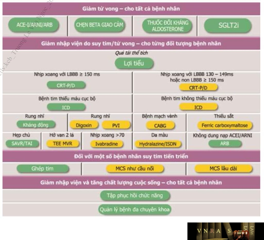 Hướng dẫn chẩn đoán và điều trị suy tim cấp và mạn - theo Bộ Y tế ...