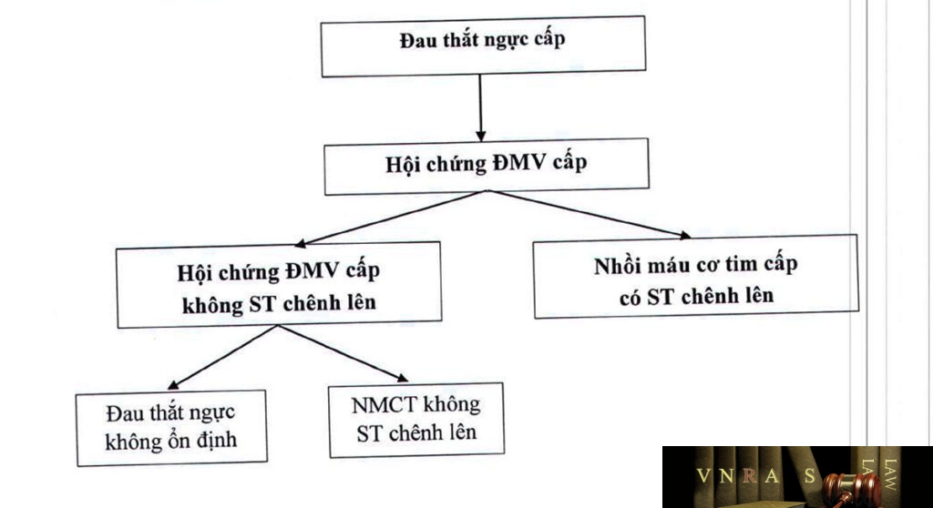 Hướng dẫn chẩn đoán và xử trí hội chứng mạch vành cấp - theo Bộ Y tế ...