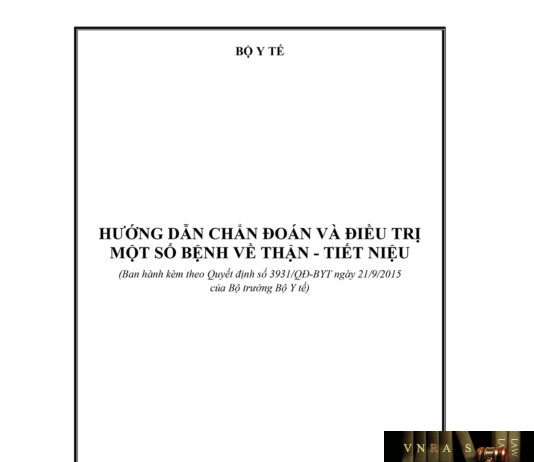 Quyết định số 3931/QĐ-BYT ngày 21/09/2015 của Bộ Y tế về việc ban hành tài liệu chuyên môn "Hướng dẫn chẩn đoán và điều trị một số bệnh về Thận – Tiết niệu"