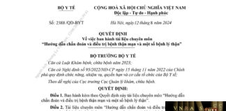 Hướng dẫn chẩn đoán và điều trị bệnh thận mạn và một số bệnh lý thận - theo Bộ Y tế, Quyết định số 2388/QĐ-BYT ngày 12/08/2024