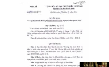 Quyết định số 2855/QĐ-BYT ngày 25 tháng 9 năm 2024 về việc ban hành Hướng dẫn chẩn đoán và điều trị bệnh viêm gan vi rút C