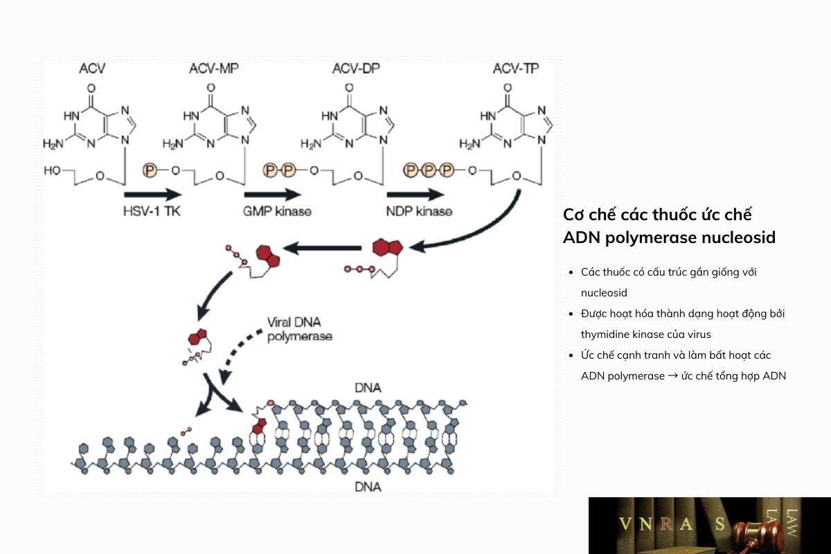 Acyclovir