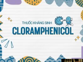 Cloramphenicol