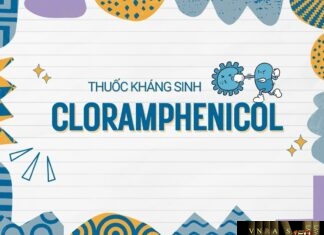 Thông tin về Cloramphenicol – thuốc kháng sinh điều trị thương hàn Cloramphenicol