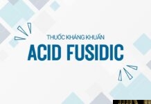 Acid Fusidic