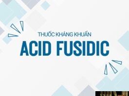 Acid Fusidic