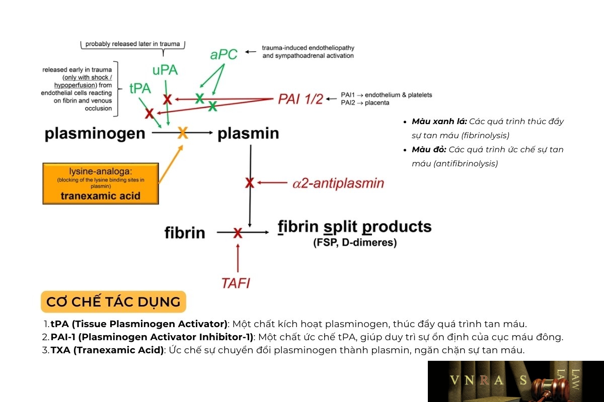 Acid Tranexamic