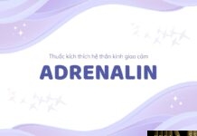 Adrenalin