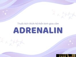 Adrenalin