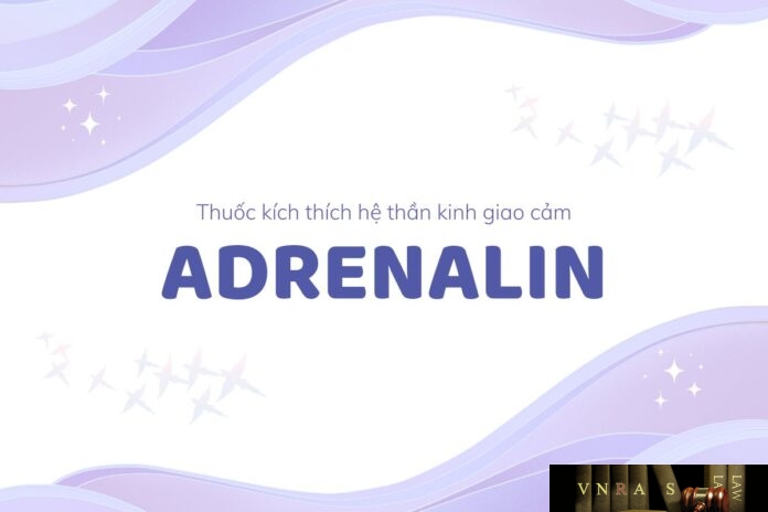 Adrenalin