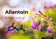 Allantoin