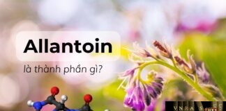 Allantoin