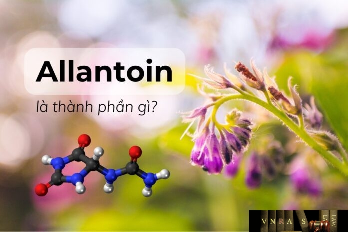 Allantoin