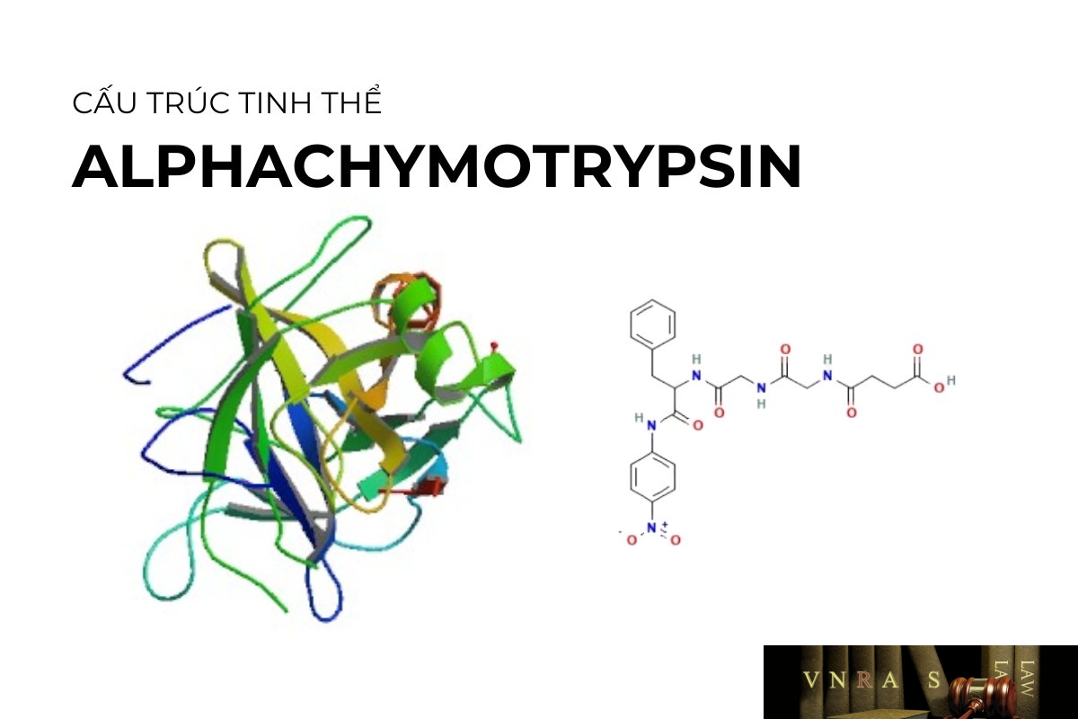 Alphachymotrypsin