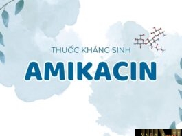 Amikacin