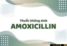 Amoxicillin