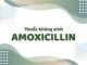 Thông tin thuốc Amoxicillin – thuốc kháng sinh nhóm beta-lactam Amoxicillin