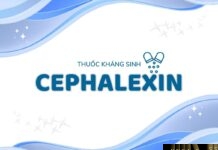 Cephalexin