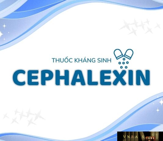 Cephalexin
