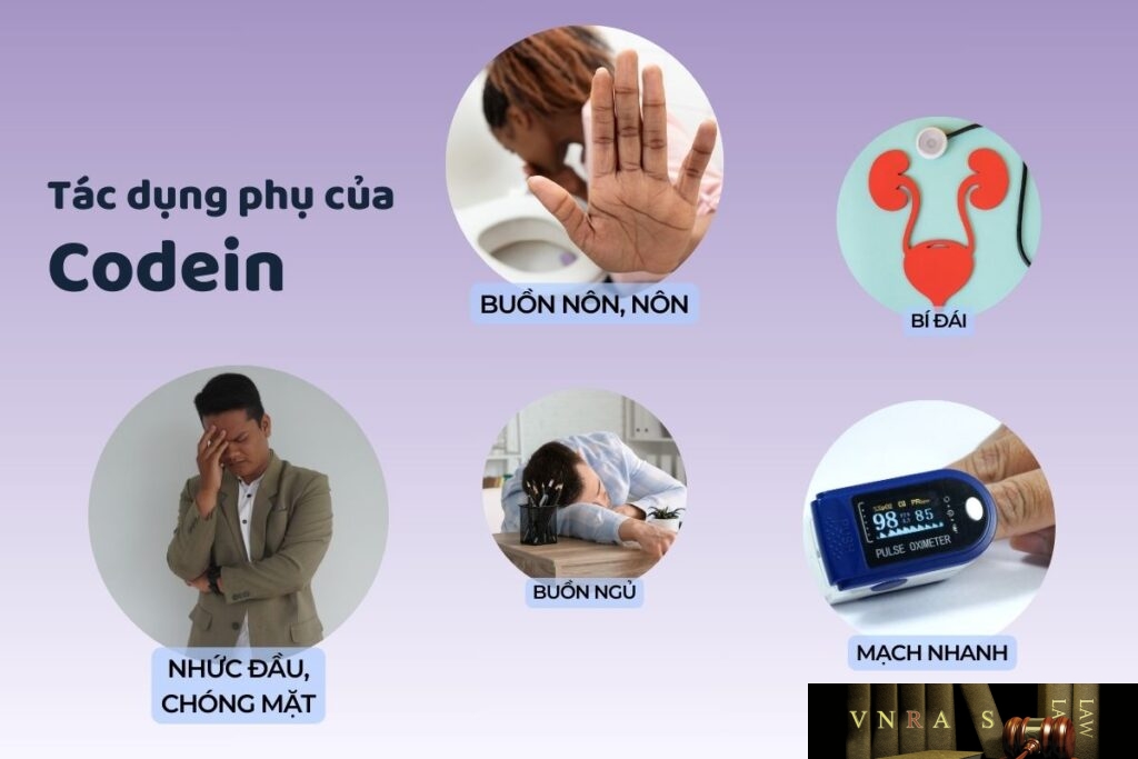 Thông tin thuốc Codein - thuốc giảm đau nhóm opioid