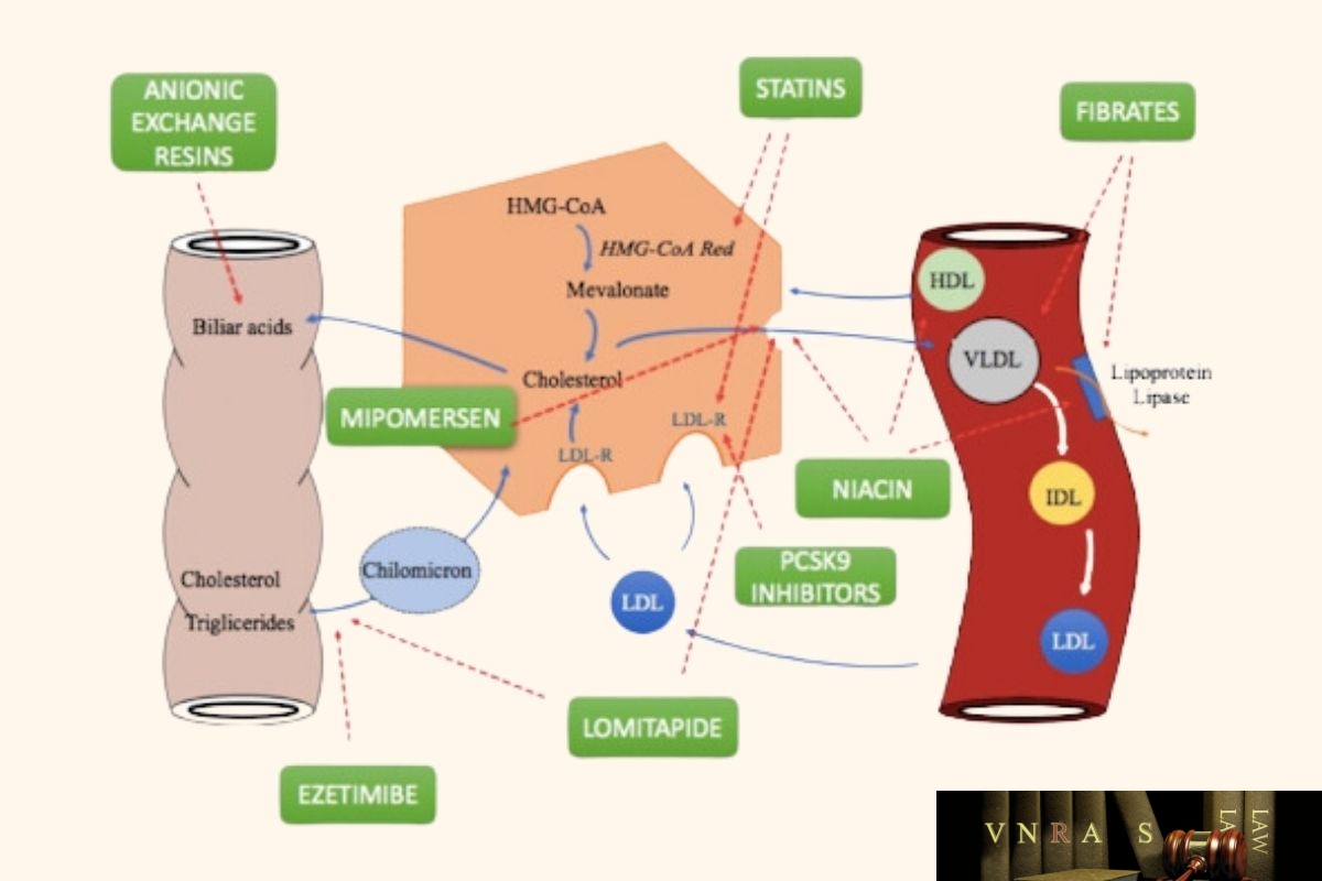 ​Cơ chế hoạt động Ezetimibe