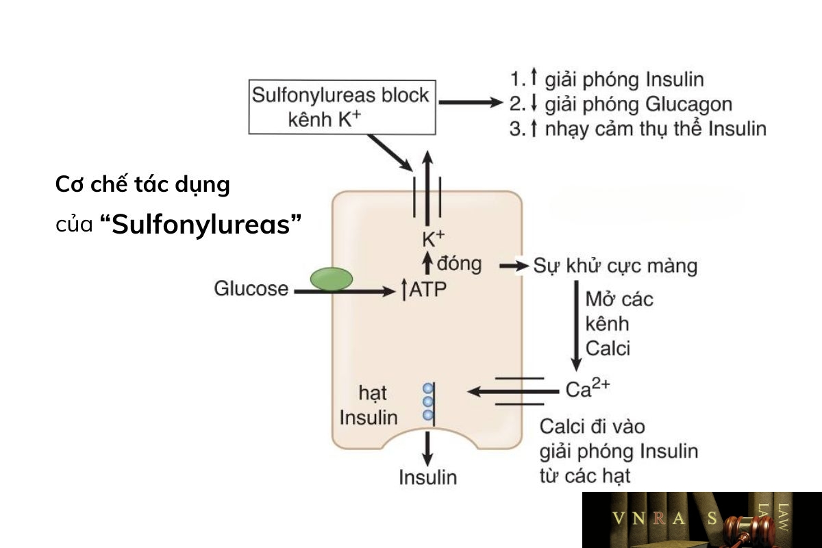 Glibenclamide