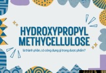 Hydroxypropyl Methylcellulose