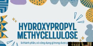 Hydroxypropyl Methylcellulose