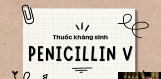 Penicilin V