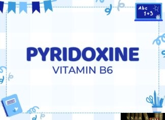 Pyridoxin Hydroclorid