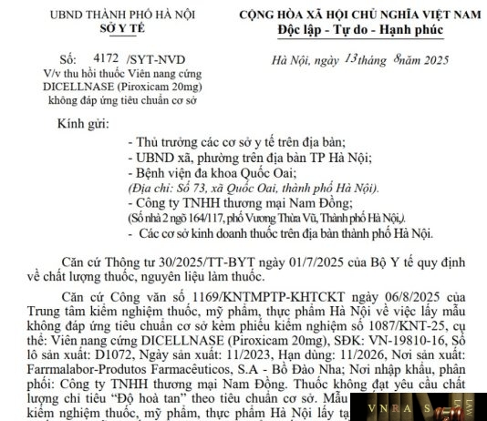 Công văn số : 4172/SYT-NVD Sở Y tế Hà Nội ngày 13 tháng 8 năm 2025 Về việc thu hồi thuốc Viên nang cứng DICELLNASE (Piroxicam 20mg) không đáp ứng tiêu chuẩn cơ sở