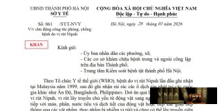 Công văn số : 861/SYT-NVY Sở Y tế Hà Nội ngày 28 tháng 01 năm 2026 Về việc chủ động công tác phòng, chống bệnh do vi rút Nipah